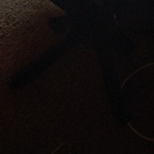 Meet your Posher, Wendy